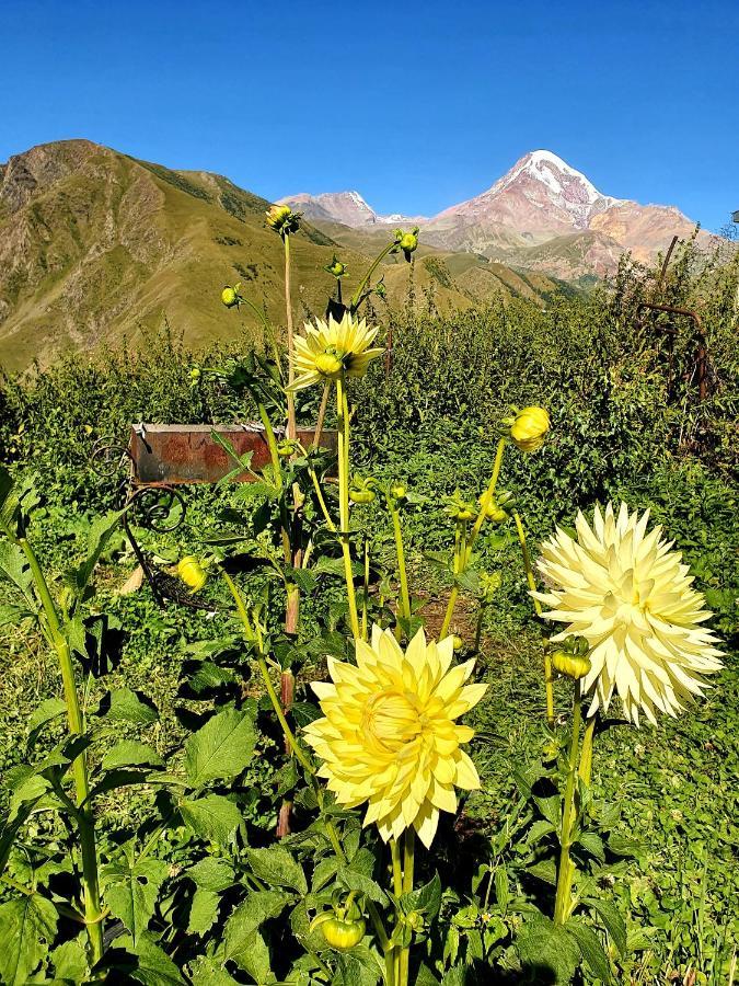 Nikolo Inn Kazbegi Esterno foto